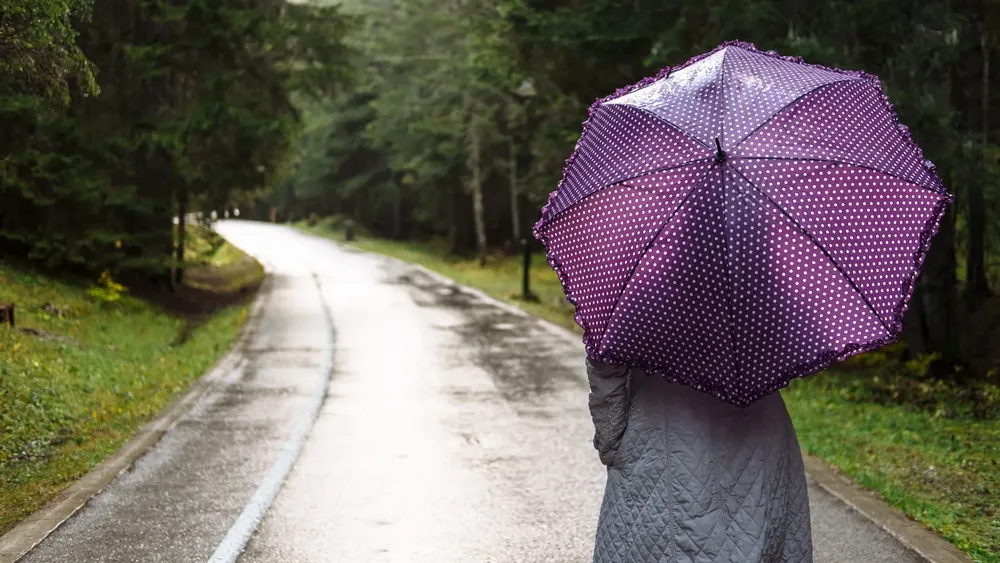 direccion-meteorologica-de-chile-primavera