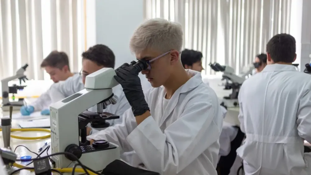 Extraída de Conexión PUCE.