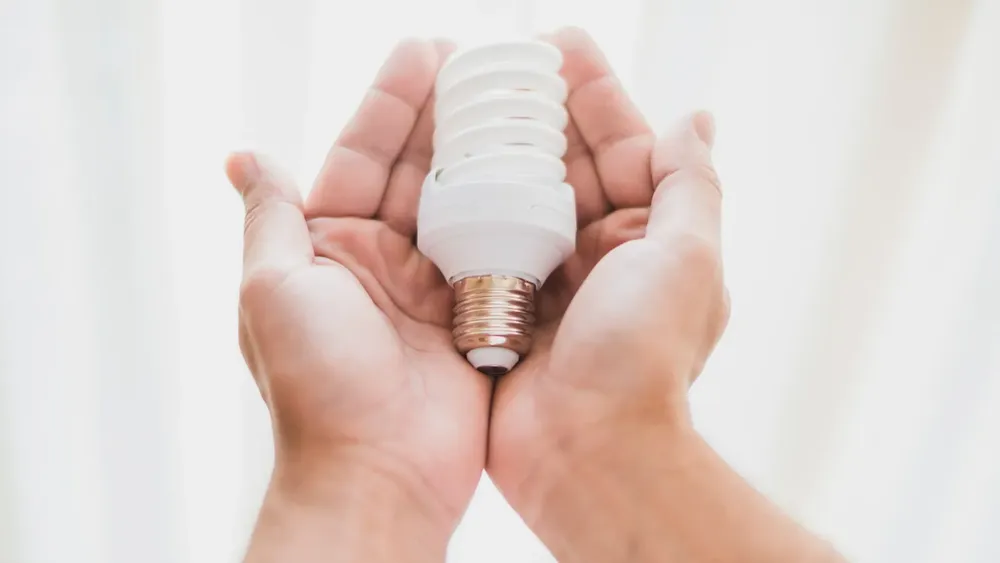 segunda-postulacion-subsidio-electrico-2024