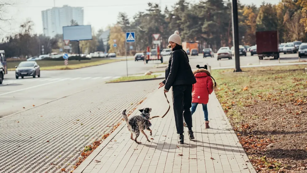 ley-trabajo-a-distancia-teletrabajo