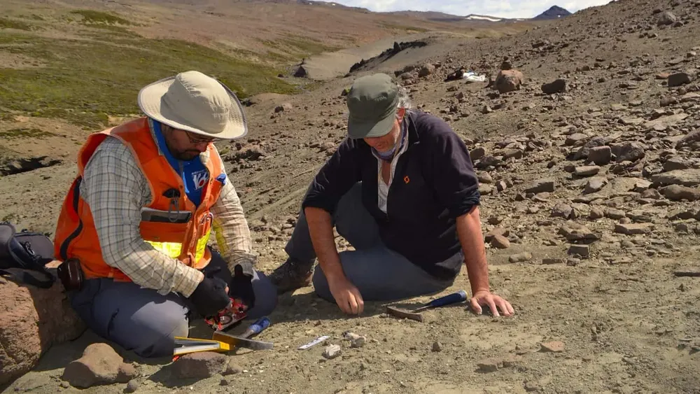 paleontologos-magallanes Créditos: imágenes gentileza de Juan Enrique Bostelmann