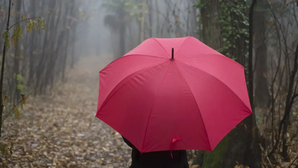 pronostico-lluvia-temperatura-invierno-otoño