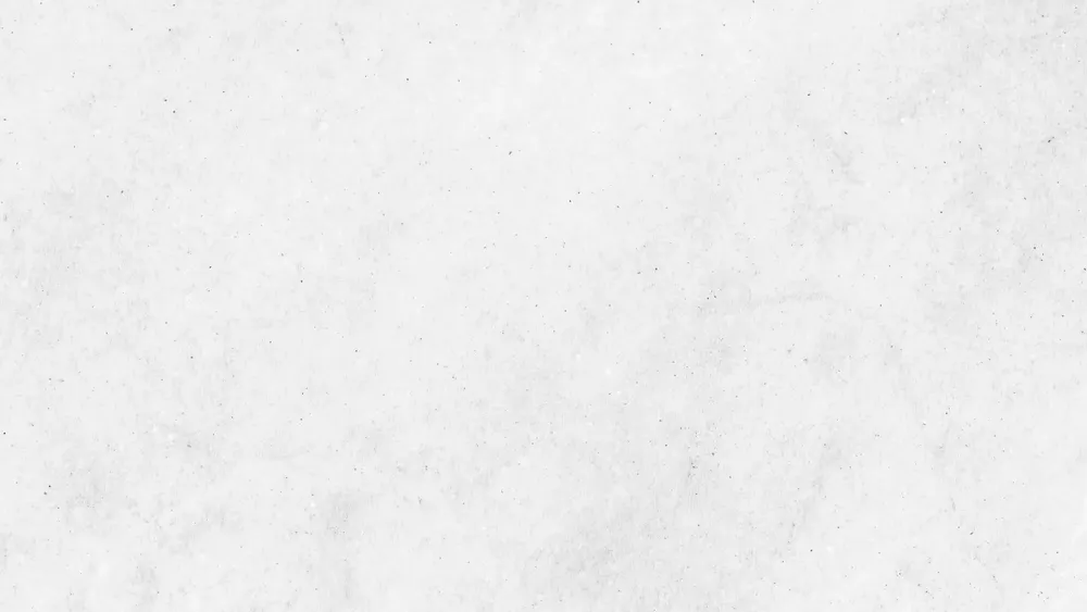 colores-tendencia-para-año-nuevo-2024-blanco